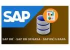 SAP BW On HanaOnline Training Viswa Online Coaching Course In Hyderabad
