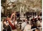 Discover the Best Wedding Venues in Los Angeles