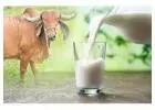 Gir Cow Milk in Kolkata - Puremilk