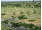   Industrial plots in greater noida authority call @ +91-9650389757